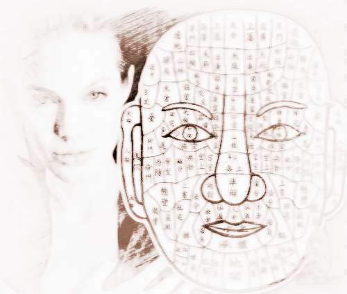 面相学图解脸型分析图女_女人面相分析图解_颧骨面相分析图解
