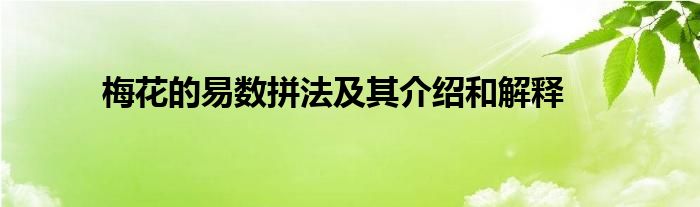 周易梅花数_沈伯春全译周易梅花数书_梅花易数的测字