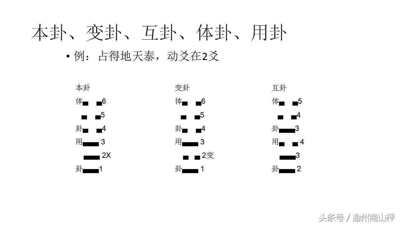 沈伯春全译周易梅花数书_梅花易数的测字_易卜居测字取名