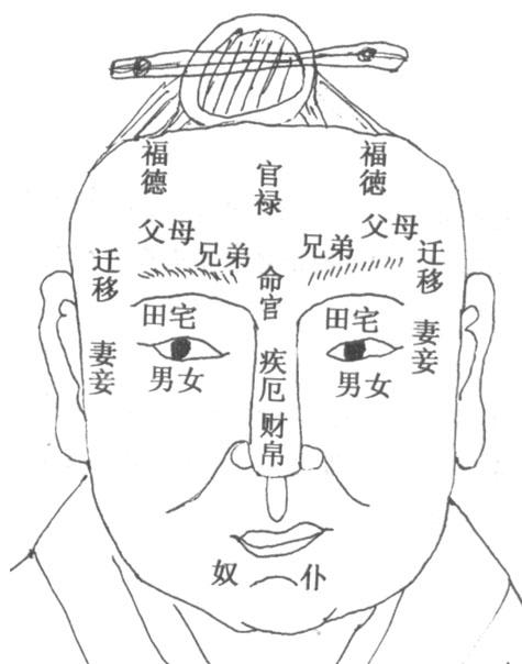 面相图解 脸部胖_面相图解贵妇人面相_脸部颧骨横纹线面相