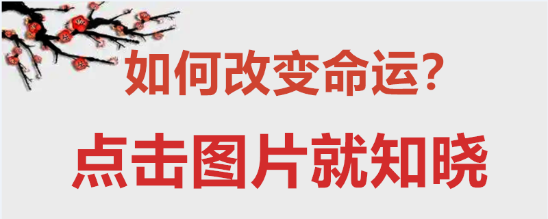 流年属相与五行计算方法_18年流年不利的属相_橡皮树的五行属相