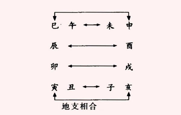 八字地支合的详解_八字地支合多_八字地支辰酉合