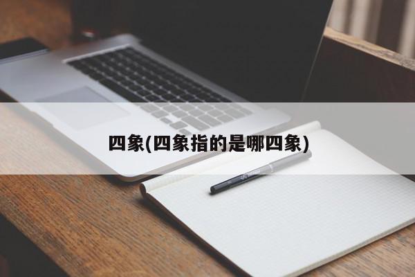 四象(四象指的是哪四象)