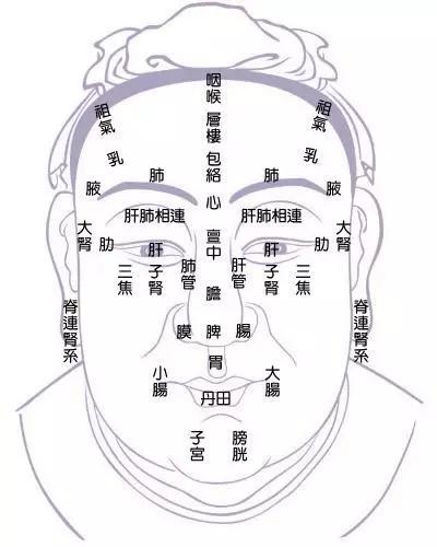 男人面相算命_品行不端男人面相_中政蓄行端