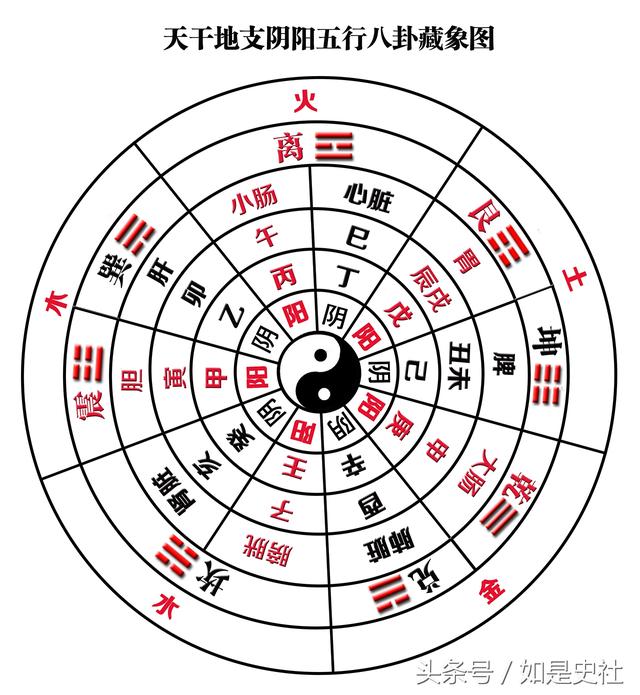 干支的八字定律怎么看阴阳_八字排盘后如何看时干支_八字干支作用关系