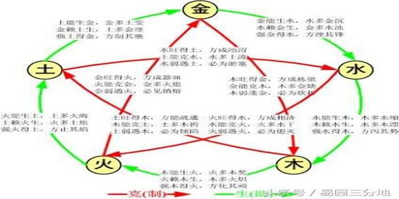 干支对应五行阴阳_干支的八字定律怎么看阴阳_八字干支同体算命秘诀