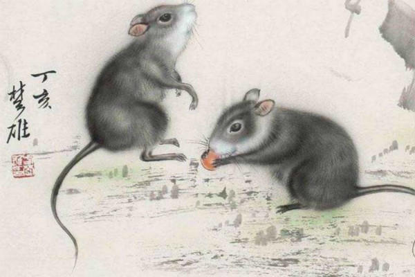 12生肖简笔画老鼠_属老鼠的人性格_十二生肖中老鼠的性格