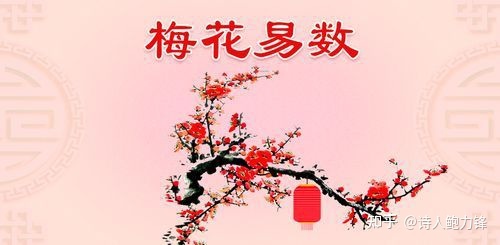 梅花易占_梅花易数和纳甲占法_子午流注纳甲法之我见