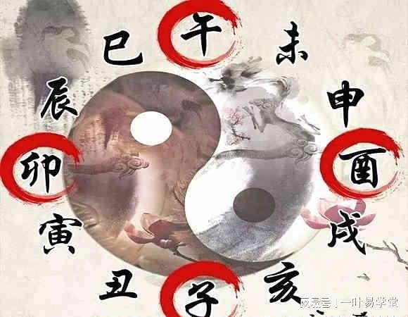 地支三冲一的八字_地支六冲婚姻不好吗_地支刑冲合害顺序