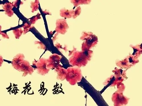 六爻梅花易卦例精解pdf_梅花易数卦数加时数应期_六爻占生育应期卦例