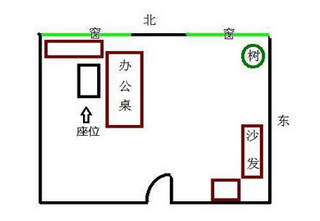 办公桌安放风水布局_桌游休闲吧布局_办公室风水植物大全,办公室风水植物布局知识