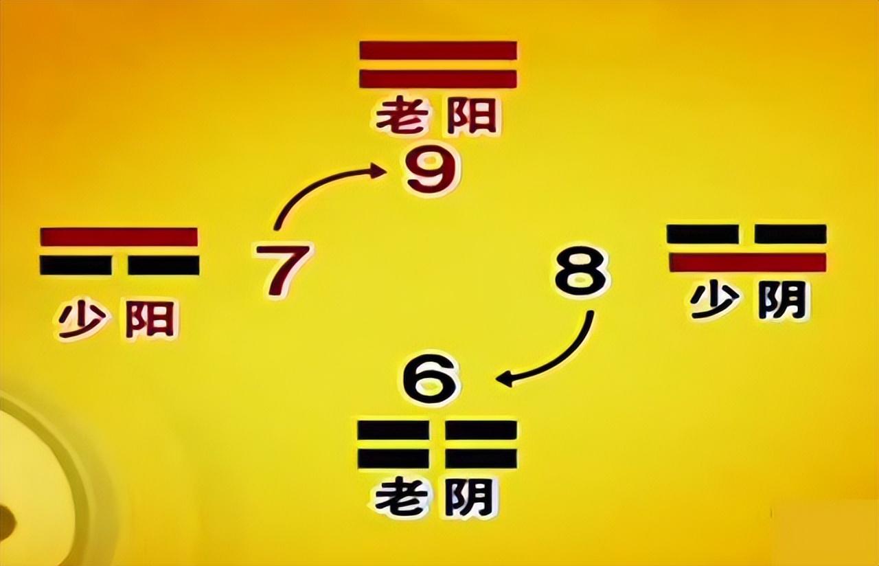 周易基础知识 数字1表示什么_周易浮屠塔数字测吉凶_周易数字的阴阳