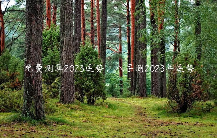 免费测算2023运势，八字测2023年运势