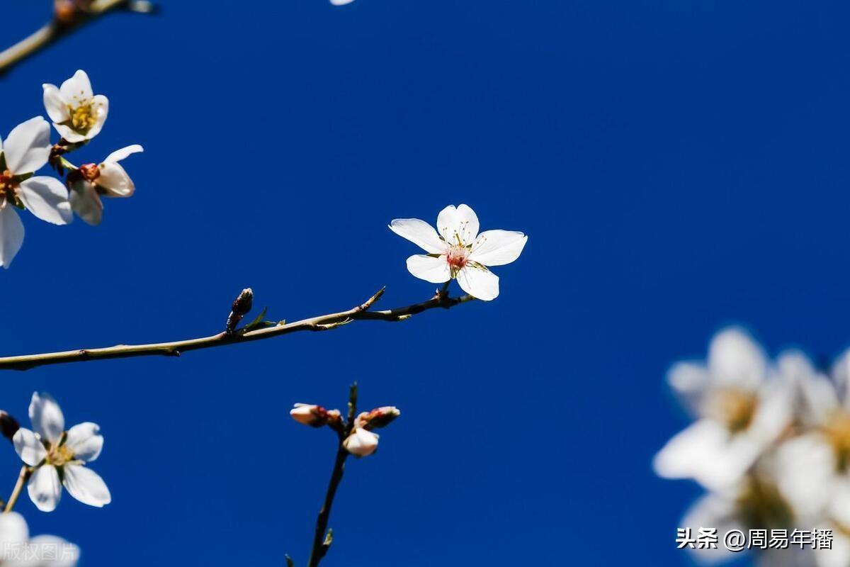 六爻起卦解卦方法_梅花易数起卦正解卦软件_六爻铜钱起卦方法解卦