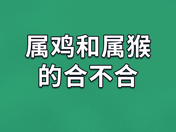 属相猴和猪婚配好吗_生肖猴的婚配属相_属相配对鸡与十二生肖配对