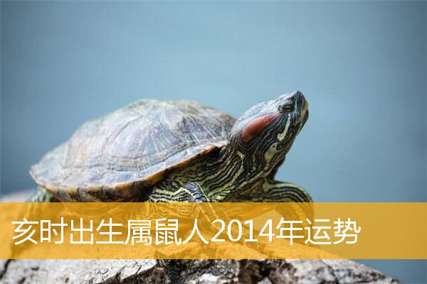 十二生肖流年运程肖猴_2021年生肖猴流年运势分析_流年运程生肖猴肖是什么