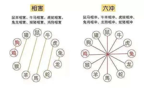 属相的克星_属相被克该怎么化解_领导属相相克如何化解