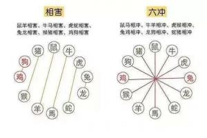 风水说:十二生肖的五行相生相克_相冲