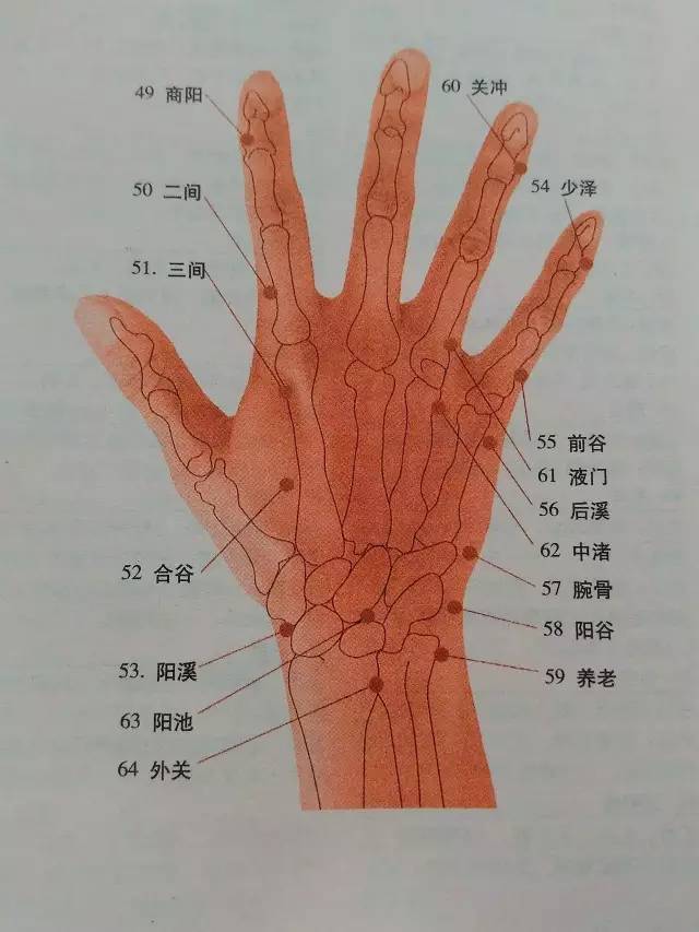 右手背外侧疼是什么原因_女人右手手背外侧痣相大全_右手手背外侧疼是怎么回事