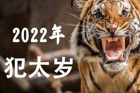 2021属相流年_2022年属相流年运势_属相流年运程2020