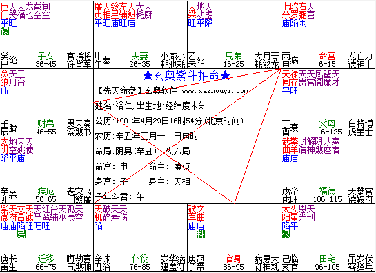 紫微飞星看富翁_飞星紫微斗数定富贵_紫微斗数的飞星