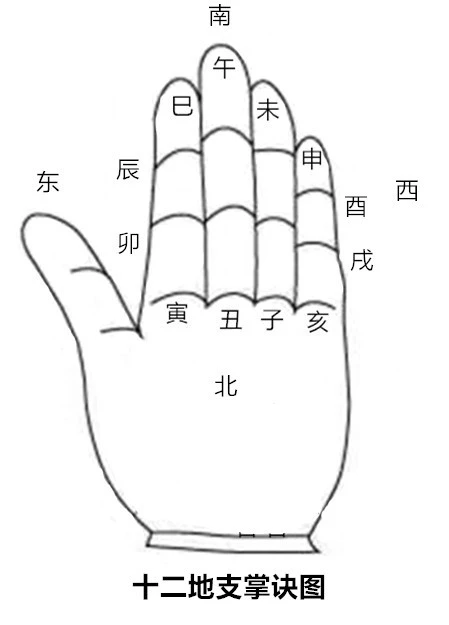 五行/天干/地支对照表_流年天干伤官地支正官_天干地支在手指的位置