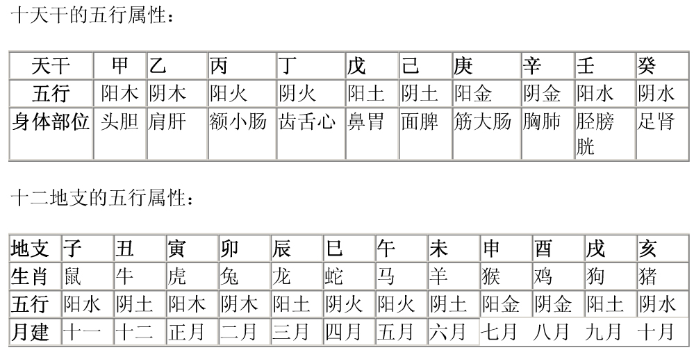 天干地支指决_地支天干地支_天干地支分别指什么