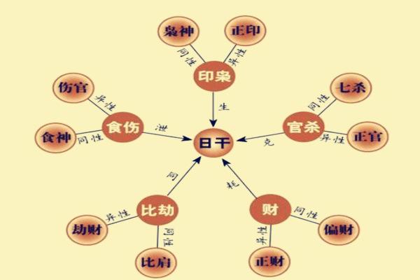 八字十神丑代表什么生肖_八字丑代表什么十神_丑的十神