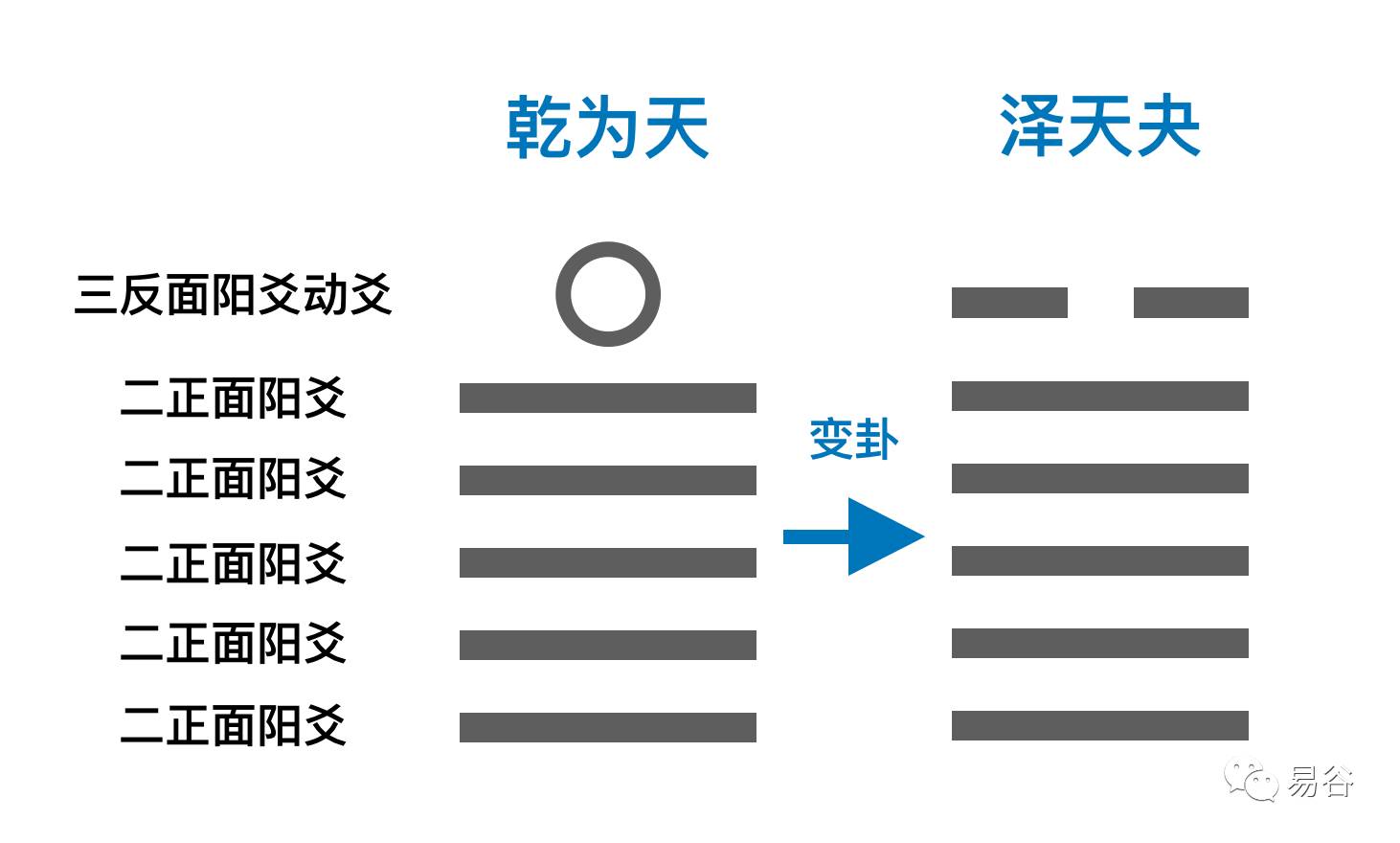 周易占卜是一种6爻吗_六爻测种植_周易中爻是什么意思