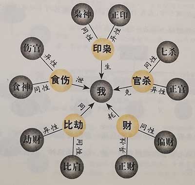 八字地支阴阳关系详解_详解八字地支相冲_八字地支藏干十神详解