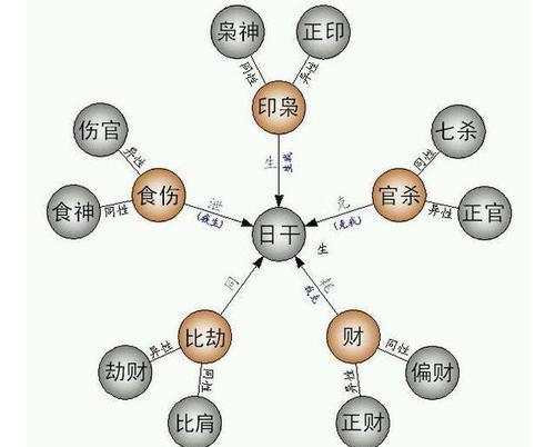 详解八字地支相冲_八字地支藏干十神详解_八字地支阴阳关系详解