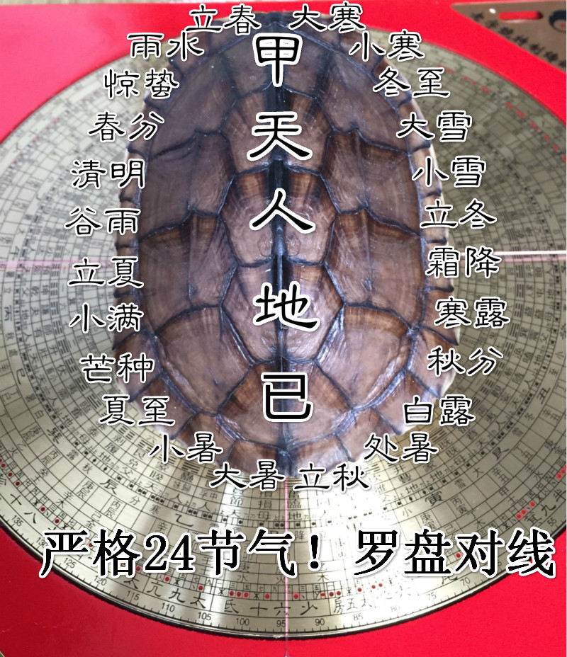 壳龟占卜财运六爻怎么看_龟壳六爻怎样占卜财运_最传统的龟壳六爻占卜