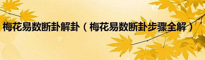 梅花易数的月份按节气不_梅花易数起卦月份按交节吗_梅花易数月令表