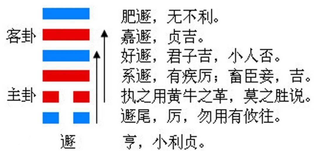 梅花易数断卦技巧视频_梅花易数起卦及断卦法解释_梅花易数断卦解卦