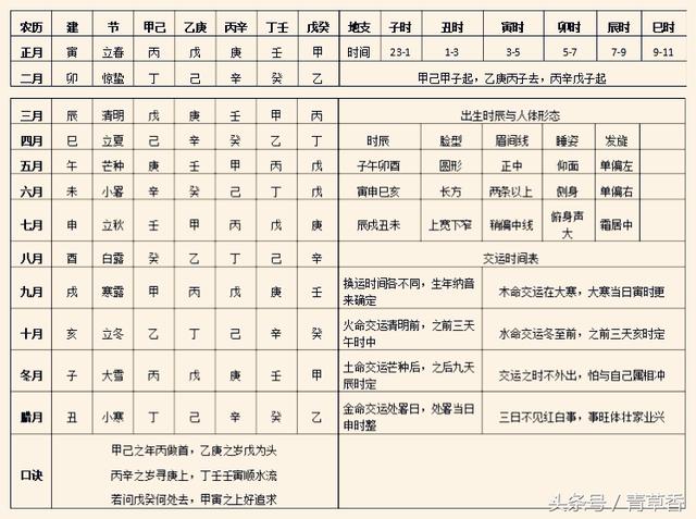 八字中天干地支代表什么_八字中天干地支的作用路线_八字中天干地支各代表什么