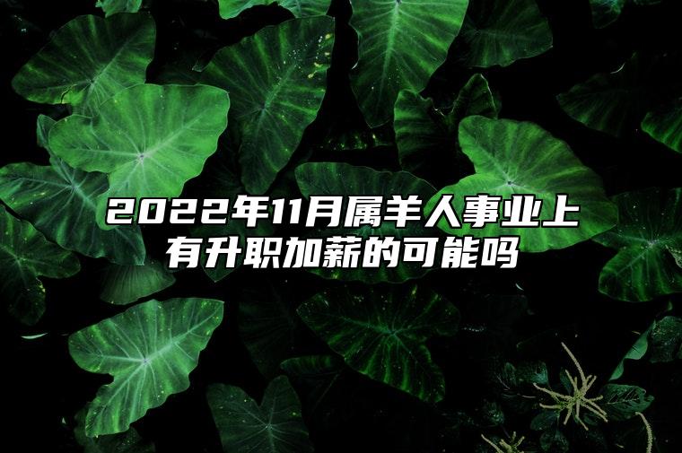 2022年11月属羊人事业上有升职加薪的可能吗 发展顺利坚持不懈