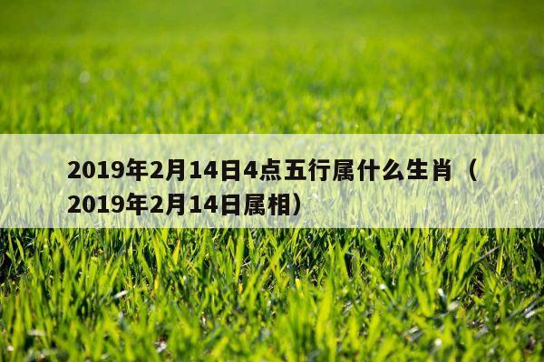 生肖马2019流年运程_流年马运程生肖2019_2021年生肖马流年运程