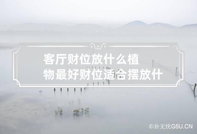 客厅财位放什么植物最好 财位适合摆放什么植物好