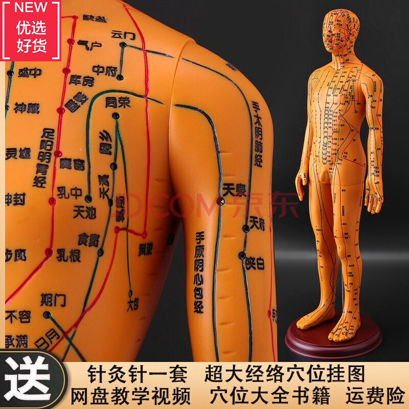 图解男孩身体部位图片_男孩身体部位简笔画_男孩身体痣相图解