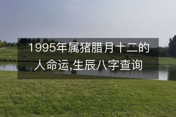 1995年属猪腊月十二的人命运,生辰八字查询