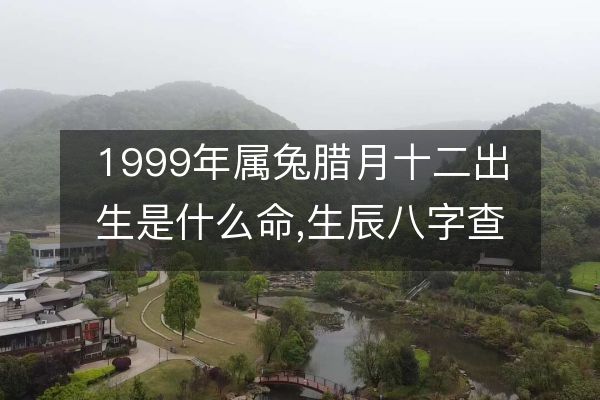 1999年属兔腊月十二出生是什么命,生辰八字查询