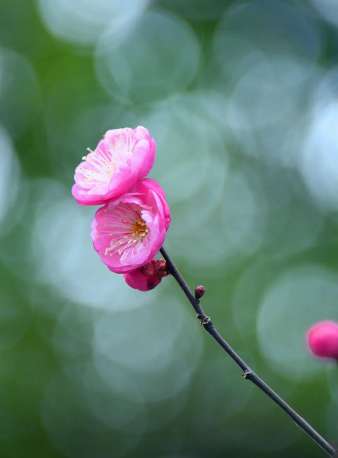 测字梅花易数对应笔画_梅花易数笔画拆分原则_梅花易数测字笔画怎么算