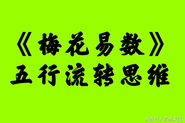 梅花易数断命详解视频_梅花易数断姓_梅花易断法