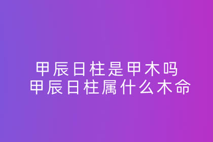 八字日柱命运癸卯怎么看_八字癸卯日柱的命运_日柱癸卯