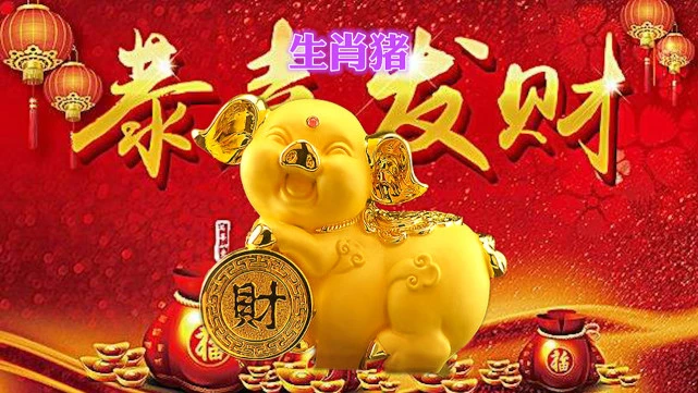 己亥年命理_己亥流年详细分析_己亥流年什么属相