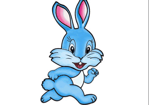生肖知识兔子怎么画_生肖兔子知识_十二生肖兔子的寓意是什么